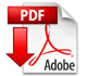 pdf-icon3